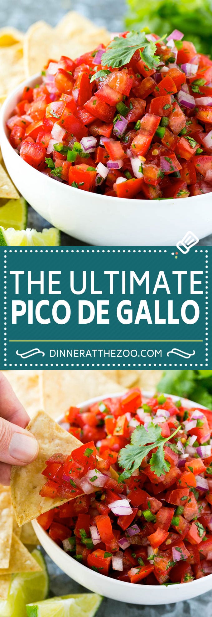 Pico de Gallo Recipe | Homemade Salsa Recipe | Salsa Fresca Recipe #salsa #salsafresca #picodegallo #snack #appetizer #sraye