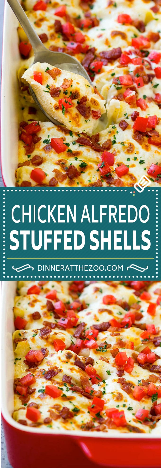 Chicken Alfredo Stuffed Shells Recipe | Stuffed Shells | Chicken Stuffed Shells | Baked Pasta #stuffedshells #alfredo #chicken #pasta #cheese #dinner #sraye