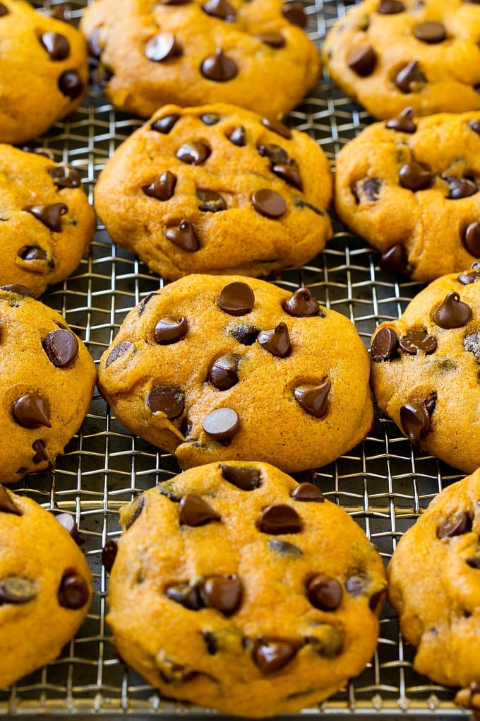 Pumpkin Chocolate Chip Cookies Recipe | Pumpkin Cookies | Pumpkin Chocolate Cookies #pumpkin #cookies #chocolate #baking #fall #sraye #dessert Pumpkin chocolate chip cookies on a cooling rack.