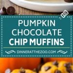 Pumpkin Chocolate Chip Muffins Recipe | Pumpkin Muffins | Chocolate Pumpkin Muffins #muffins #pumpkin #fall #chocolate #dessert #snack #sraye