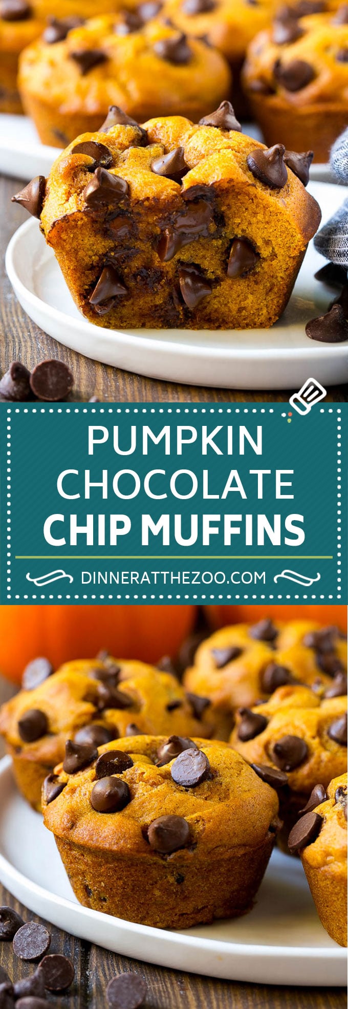 Pumpkin Chocolate Chip Muffins Recipe | Pumpkin Muffins | Chocolate Pumpkin Muffins #muffins #pumpkin #fall #chocolate #dessert #snack #sraye