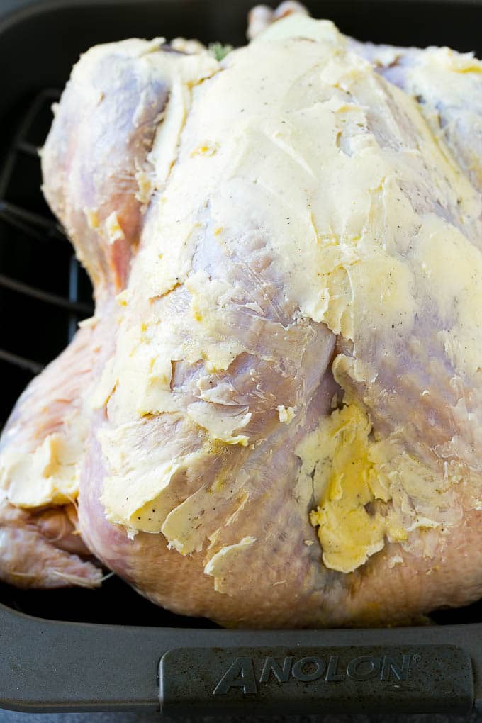 Roast Turkey Recipe | Thanksgiving Turkey | Holiday Turkey | Baked Turkey #turkey #thanksgiving #christmas #dinner #glutenfree #sraye A whole raw turkey coated in seasoned butter.