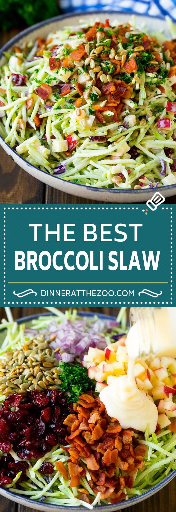 Bacon Broccoli Slaw Recipe | Coleslaw Recipe | Broccoli Slaw #broccoli #slaw #salad #apple #bacon #sidedish #lunch #sraye