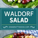Waldorf Salad Recipe | Apple Salad | Fruit Salad #salad #fruit #apples #grapes #lunch #sraye #glutenfree