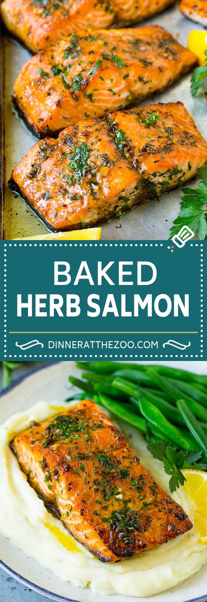 Baked Salmon Recipe | Garlic Salmon | Roasted Salmon #salmon #seafood #fish #dinner #sraye