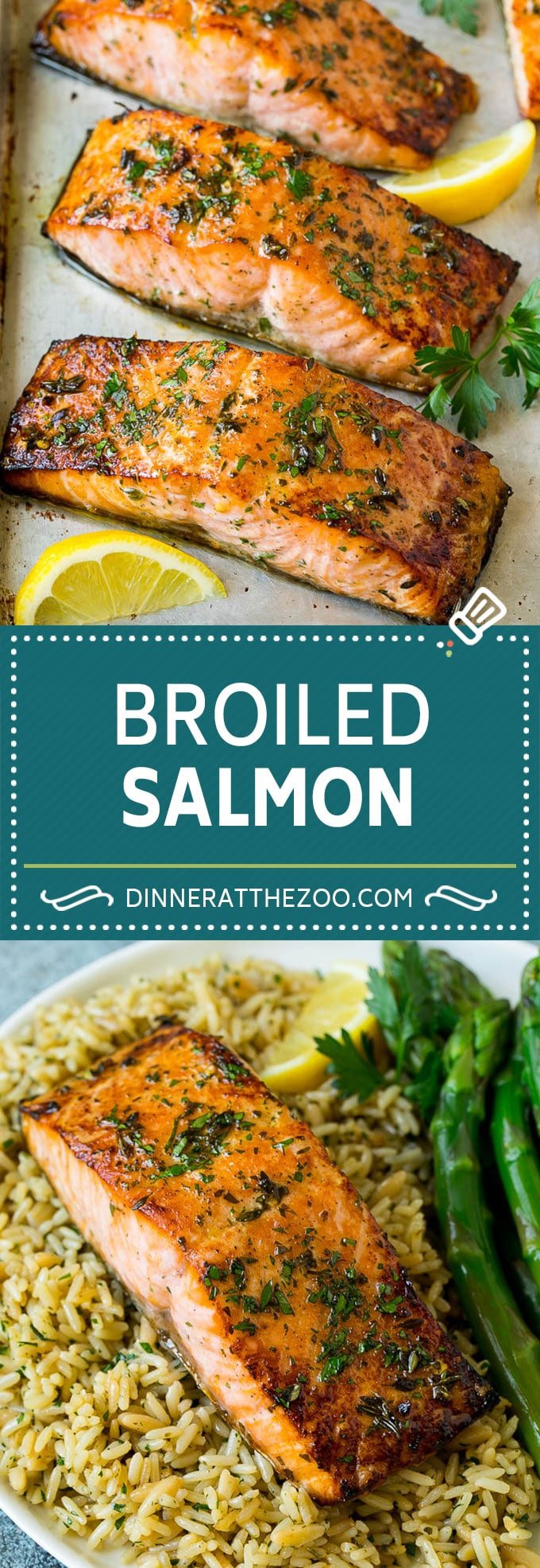 Broiled Salmon Recipe | Healthy Salmon Recipe #salmon #garlic #seafood #dinner #sraye