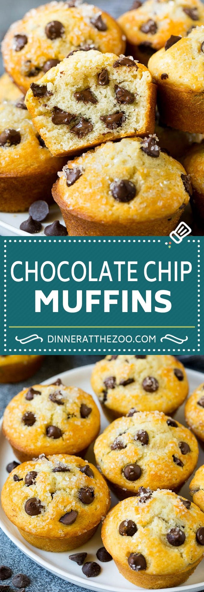 Chocolate Chip Muffins | Easy Muffin Recipe #chocolate #muffins #baking #breakfast #snack #sraye