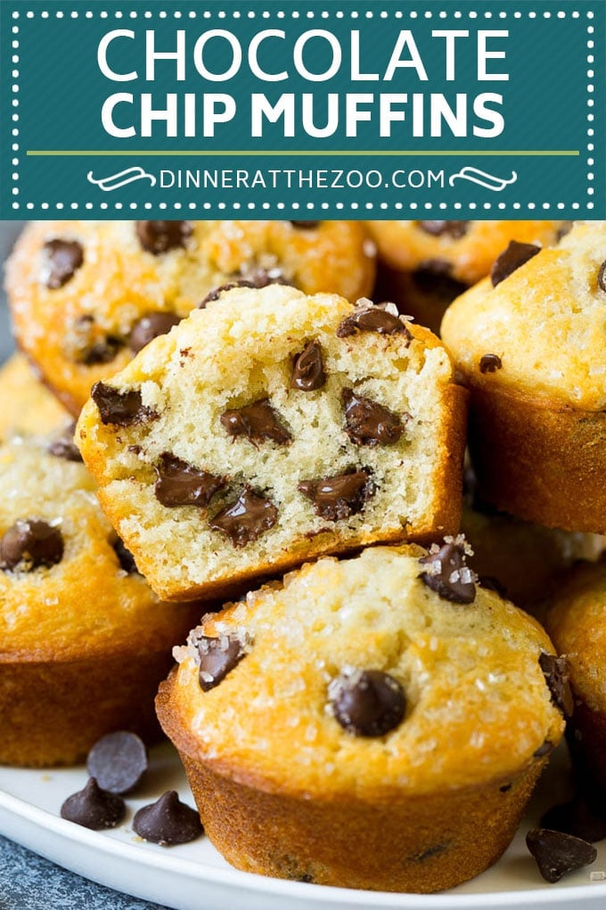 Chocolate Chip Muffins | Easy Muffin Recipe #chocolate #muffins #baking #breakfast #snack #sraye