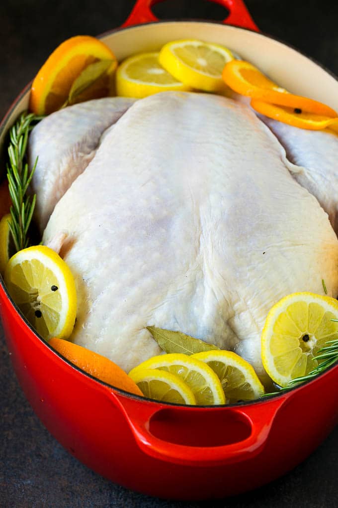 Thanksgiving Turkey Recipe | Roasted Turkey #turkey #thanksgiving #fall #dinner #sraye A turkey in a pot of brine.