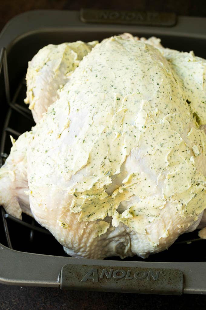 Thanksgiving Turkey Recipe | Roasted Turkey #turkey #thanksgiving #fall #dinner #sraye A turkey coated in herb butter.